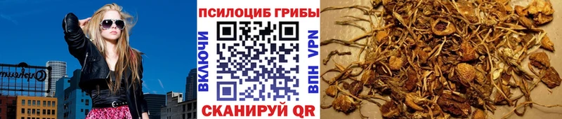 Псилоцибиновые грибы MAGIC MUSHROOMS  Городовиковск 